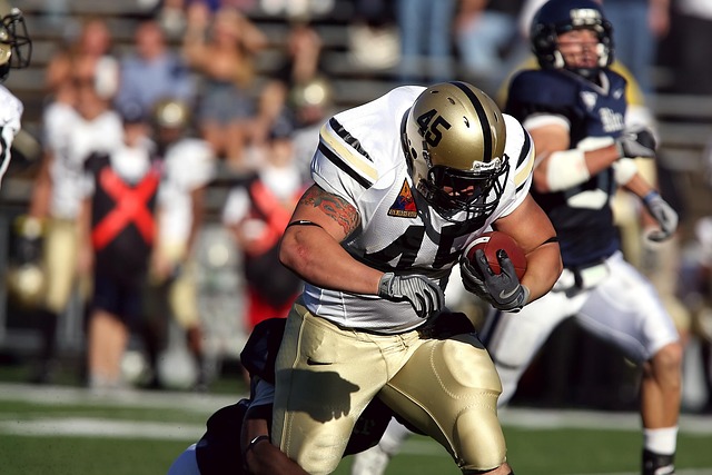 维罗纳和佛 维罗纳和佛