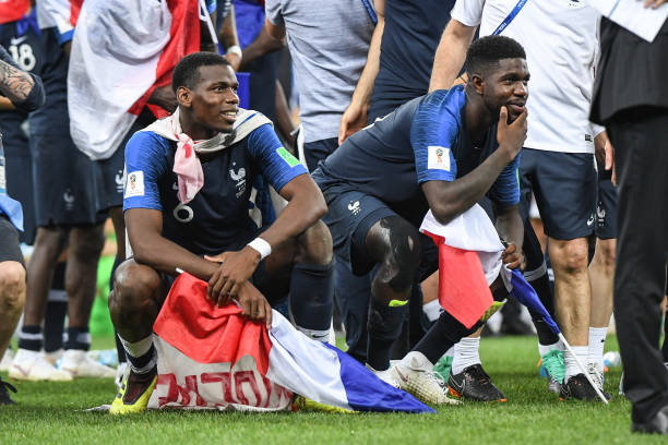 蜂的防线 蜂的防线